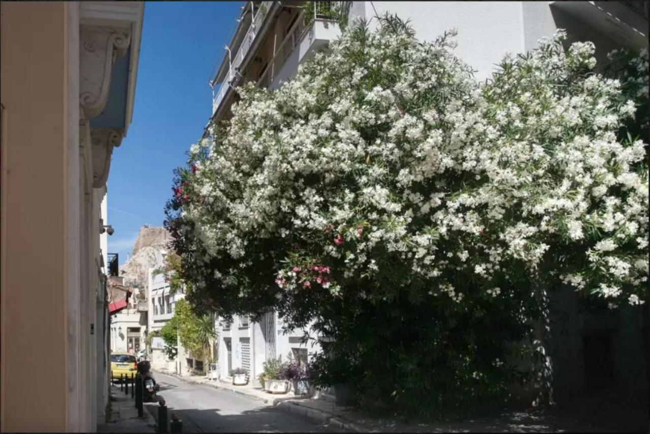 Ferienwohnung Nephiria, Back To Tradition, In The Heart Of Plaka! Athen Exterior foto